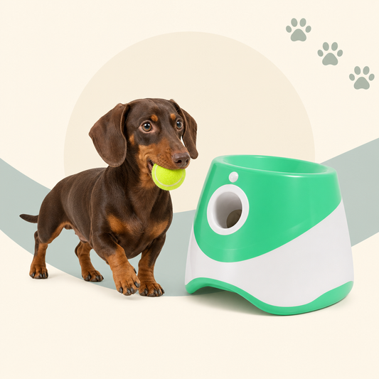 Fetchless™ Automatic Ball Launcher